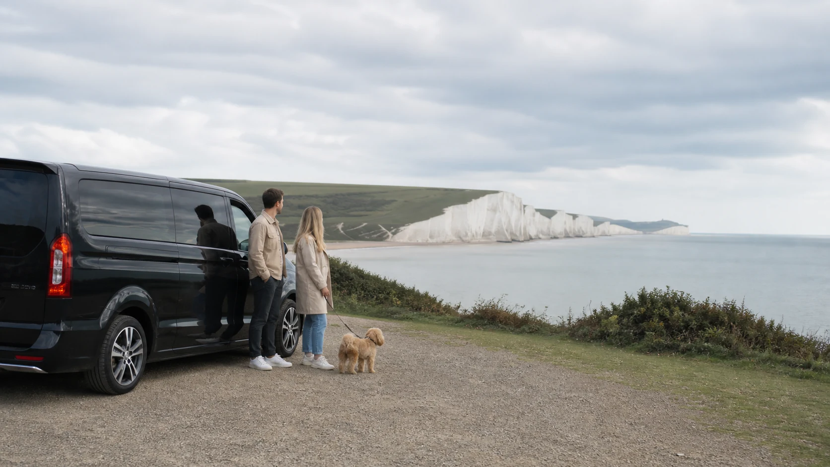 Dog arriving at a Kent destination after a private pet taxi crossing from Calais